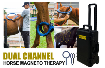 pemf machine for horses