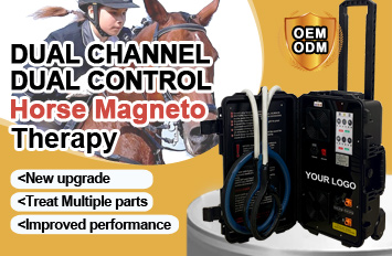 pemf therapy for horse