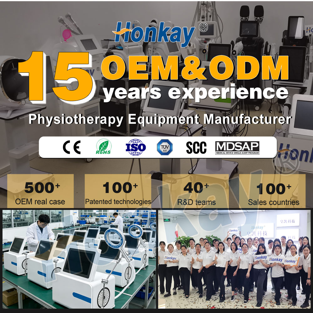 Professional PEMF Device