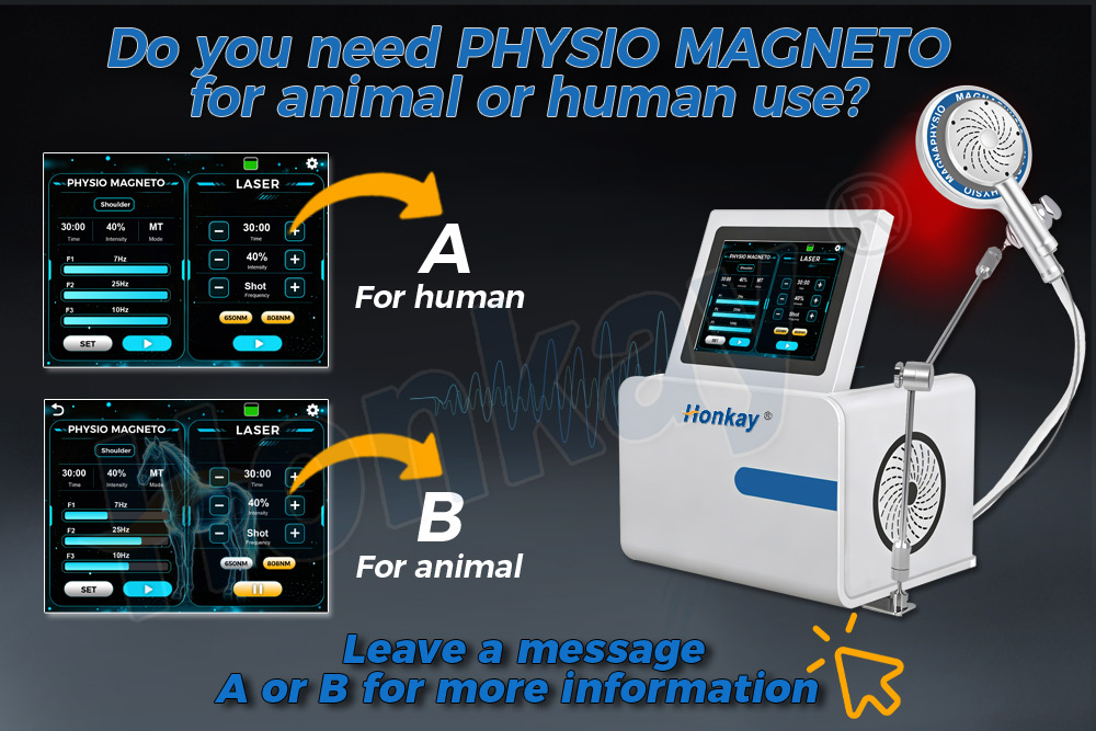 Pulsed Magnetic Field Therapy Device