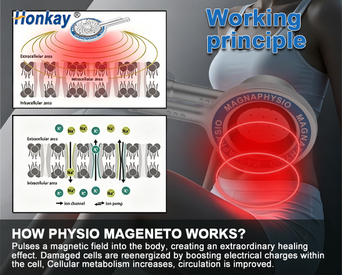 Pulsed Magnetic Field Therapy Device