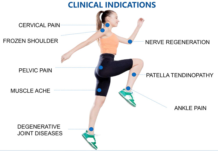 magnetic field therapy device price