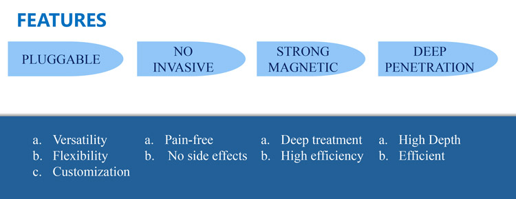 magnetic field therapy device