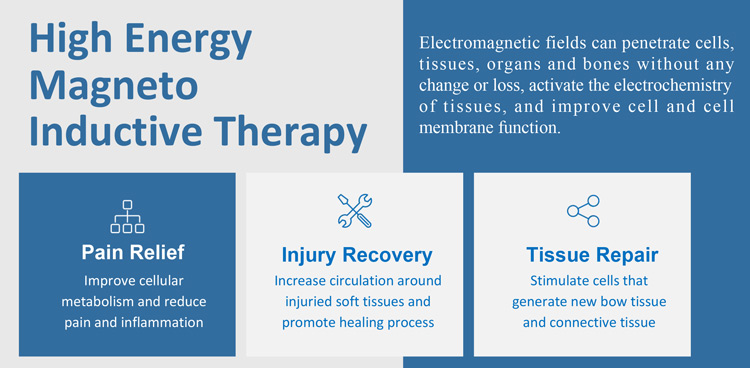 magnetic therapy machine price 2