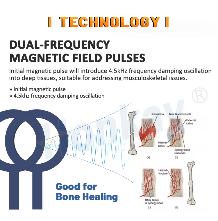 PEMF magnetic therapy equipment